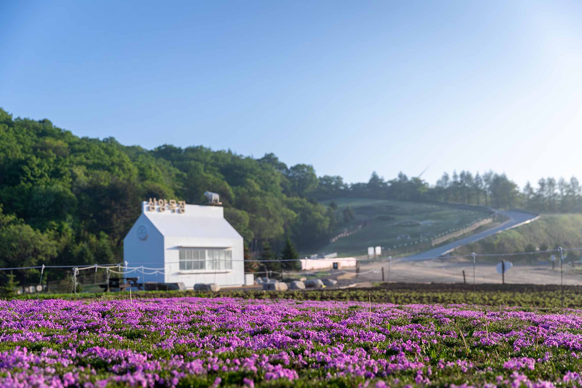 삼양로지스틱스(주) 이미지
